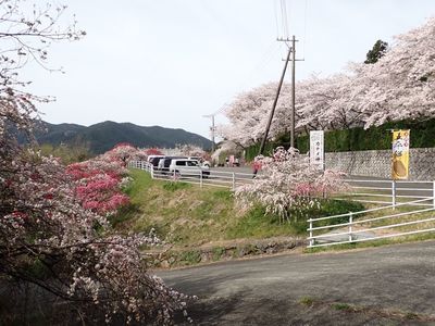 花の奥山高原 3枚目