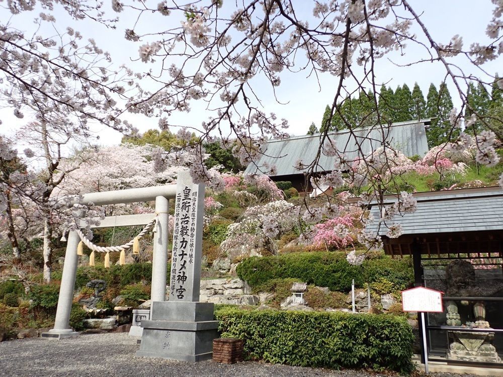 Howl Monさんが投稿した花の奥山高原に関する口コミの画像
