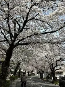 国分寺市観光協会