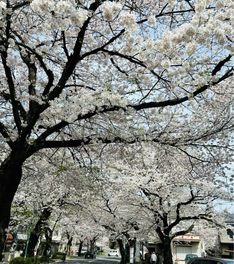 それなはとけさんが投稿した国分寺市観光協会に関する口コミの画像