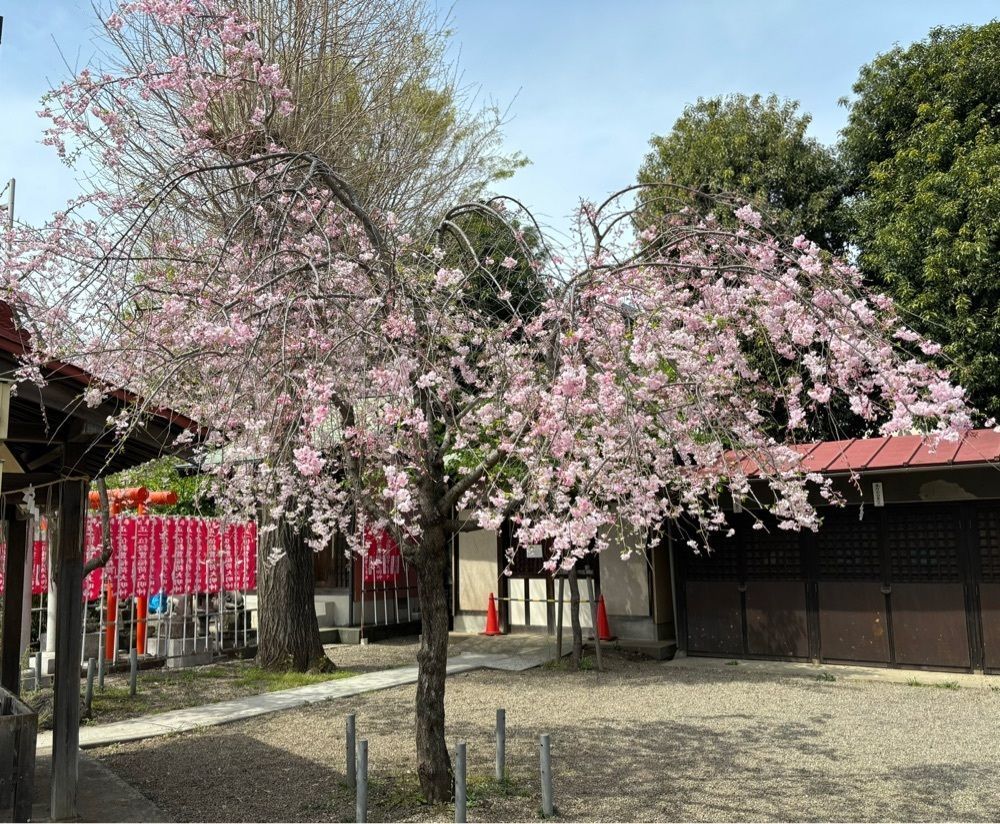 それなはとけさんが投稿した国分寺市観光協会に関する口コミの画像