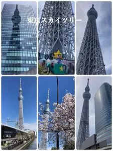 東京スカイツリータウンの庭