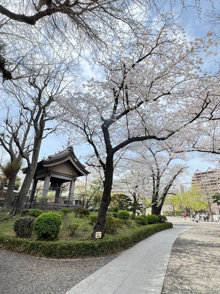 🤎アイヒンまま🤎さんが投稿した東京都慰霊堂（鐘楼堂・復興記念館・震災遭難児弔魂像）に関する口コミの画像