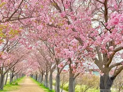 狭山池公園