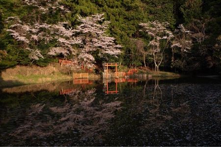 施設画像