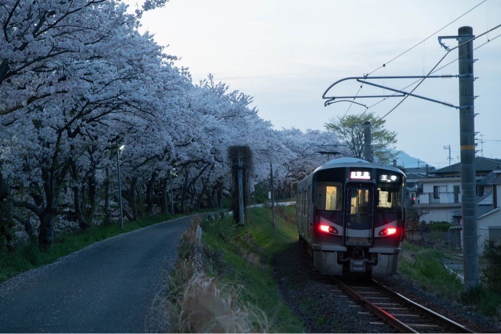 佳さんが投稿した玉手駅に関する口コミの画像