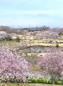 つがの里