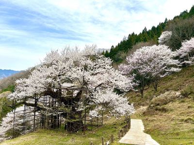施設画像