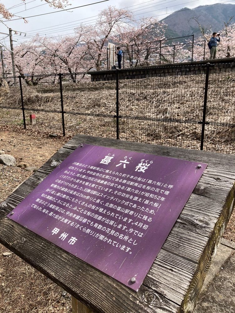 Nさんが投稿したJR勝沼ぶどう郷駅に関する口コミの画像
