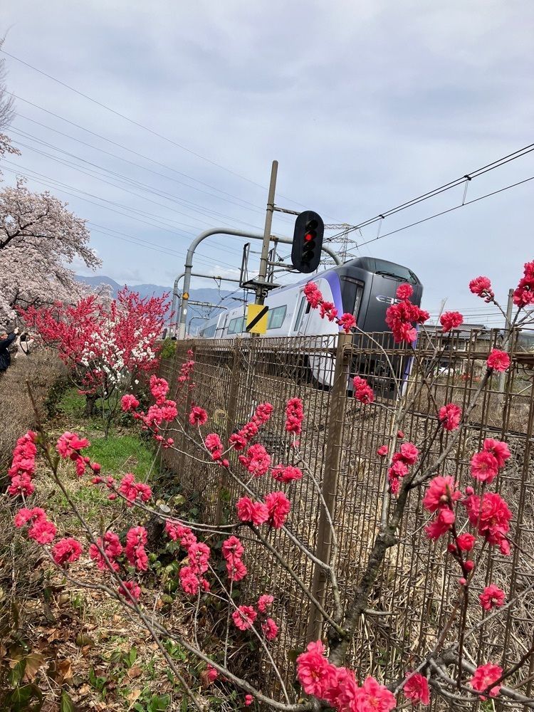 Nさんが投稿したJR勝沼ぶどう郷駅に関する口コミの画像