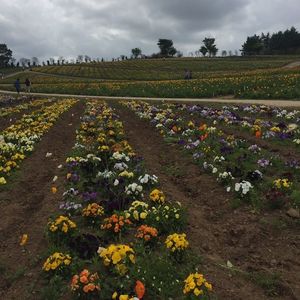 那須フラワーワールド