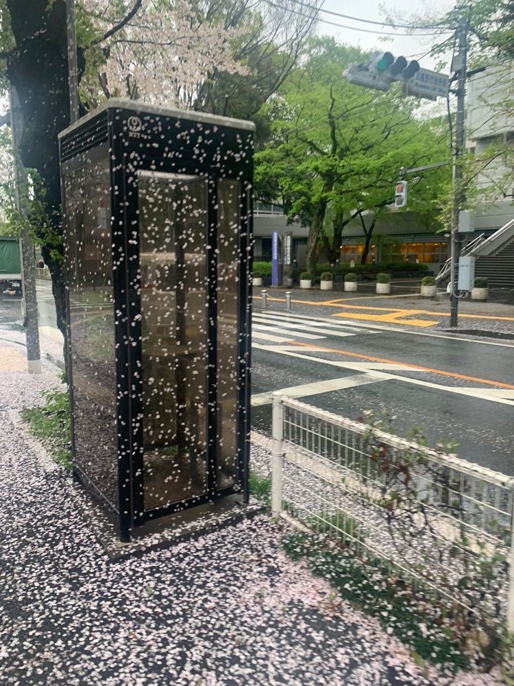 junkunさんが投稿した武蔵野市役所に関する口コミの画像
