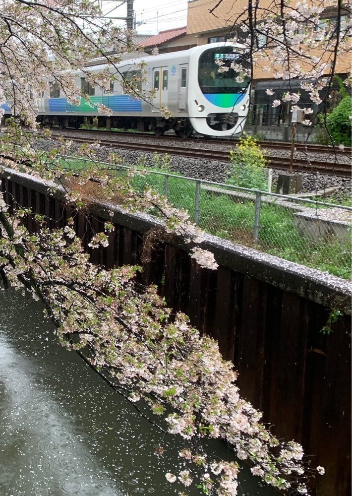 junkunさんが投稿した武蔵野市役所に関する口コミの画像