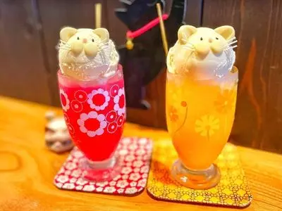 町家猫喫茶 うたねこ堂