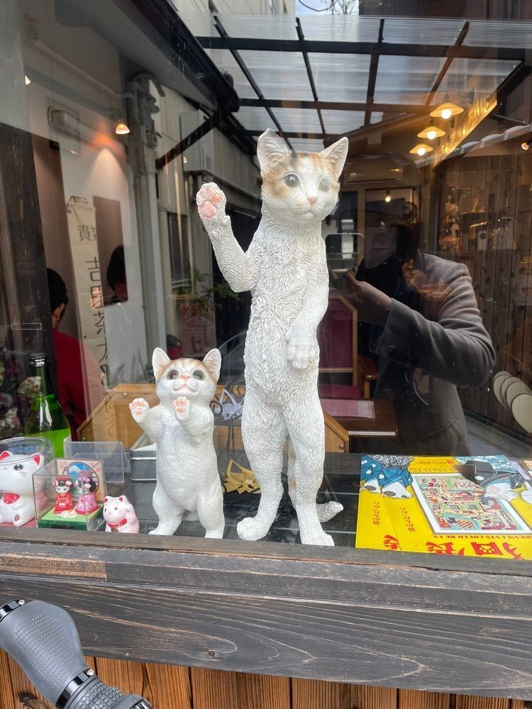 mamama__tさんが投稿した町家猫喫茶 うたねこ堂に関する口コミの画像