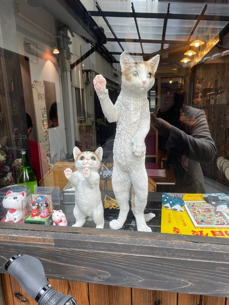 mamama__tさんが投稿した町家猫喫茶 うたねこ堂に関する口コミの画像