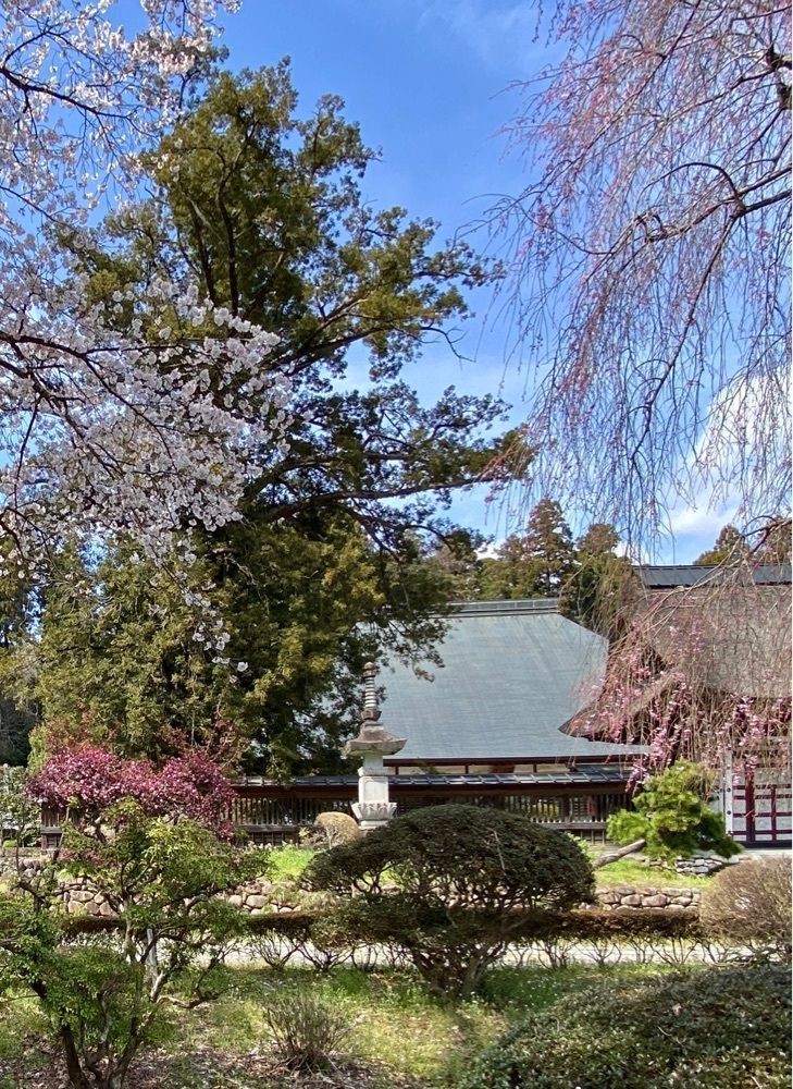 calm_gift_1030さんが投稿した医王寺に関する口コミの画像