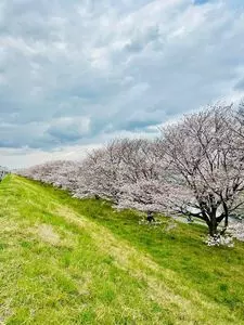戸田公園