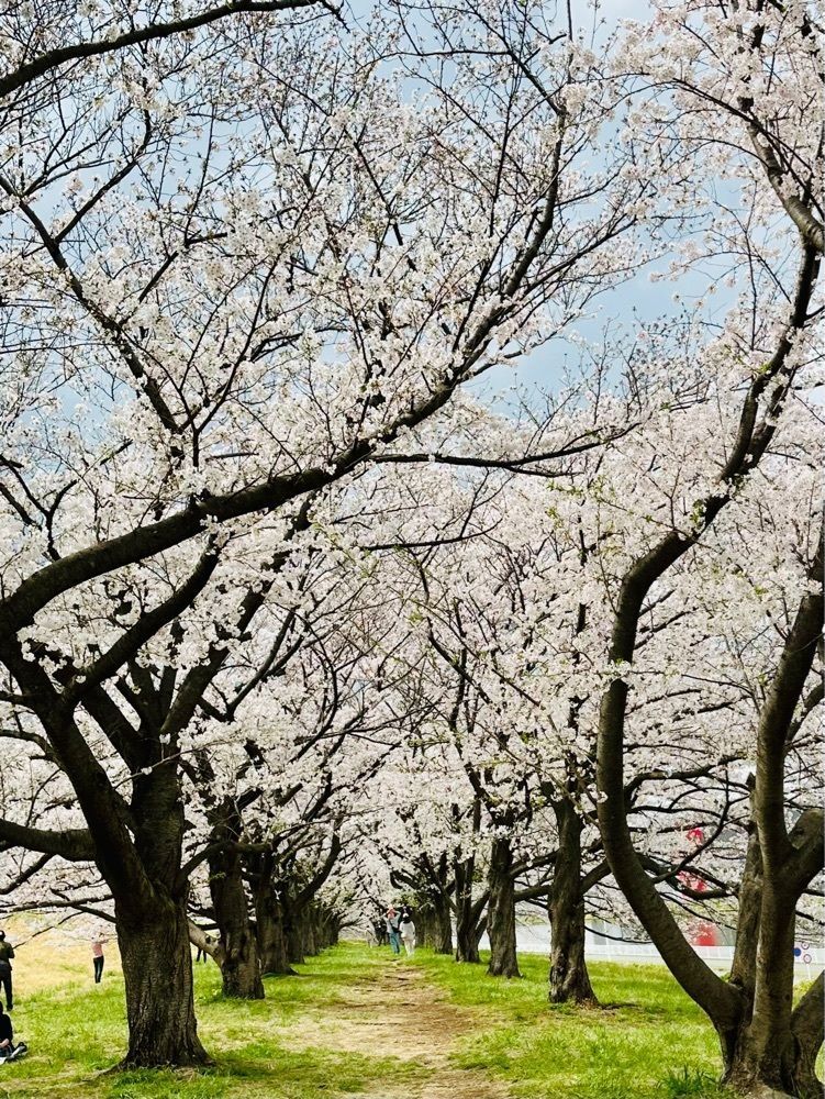 nico☺︎さんが投稿した戸田公園に関する口コミの画像
