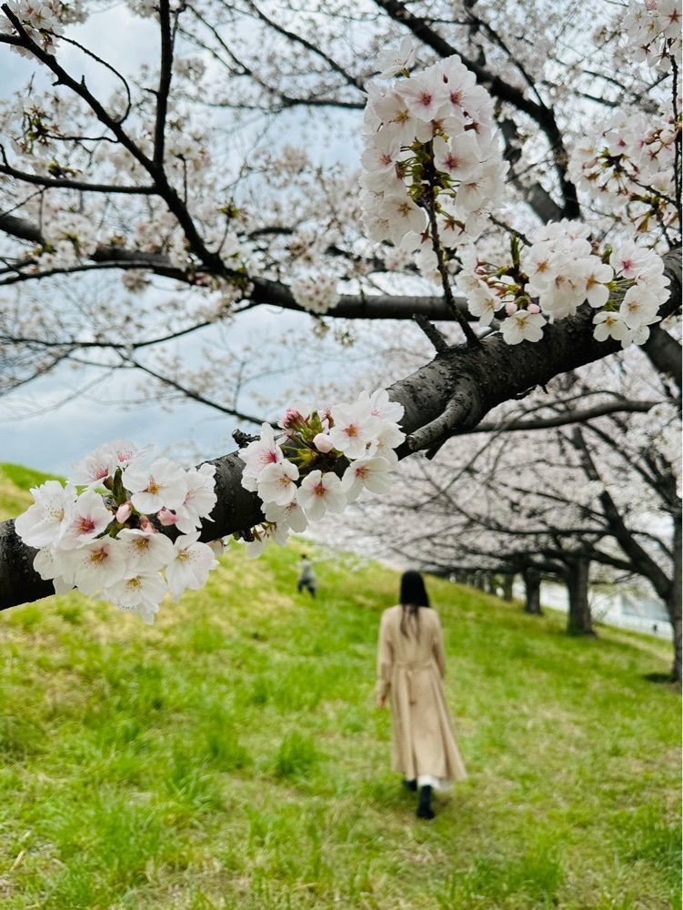 nico☺︎さんが投稿した戸田公園に関する口コミの画像