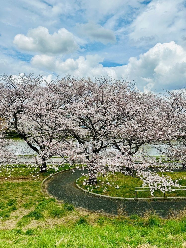 nico☺︎さんが投稿した戸田公園に関する口コミの画像