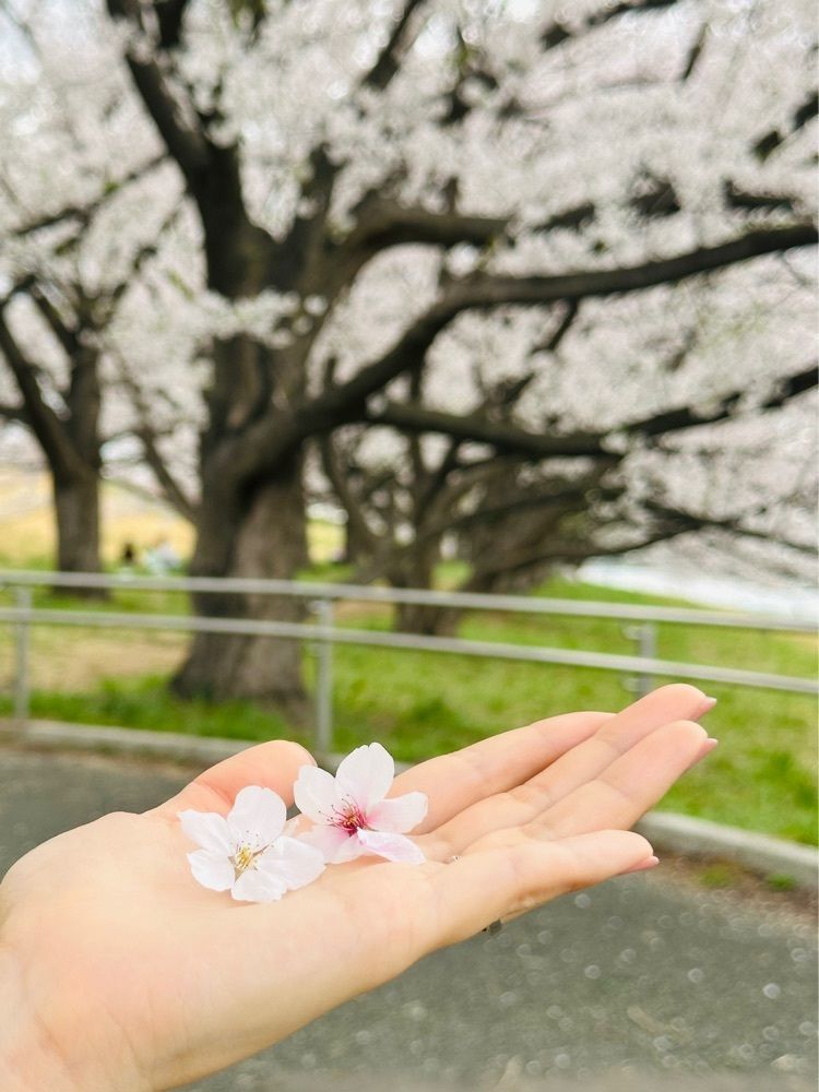 nico☺︎さんが投稿した戸田公園に関する口コミの画像