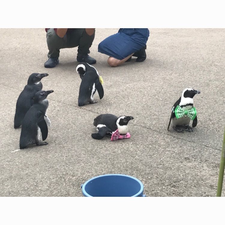 杏実さんが投稿した画像の画像