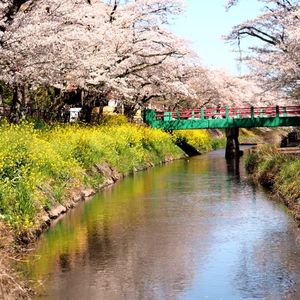 施設画像