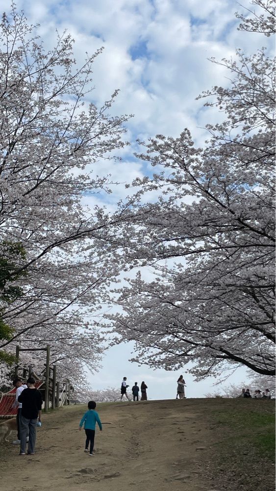 みぃさんが投稿した青の山山頂古墳群に関する口コミの画像