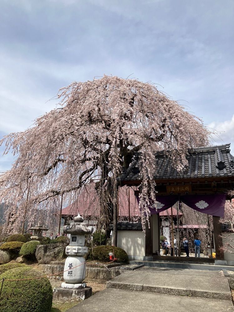 Nさんが投稿した周林寺に関する口コミの画像