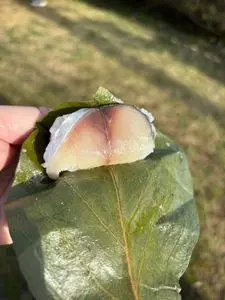 にしや