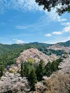 吉水神社（書院・重文）