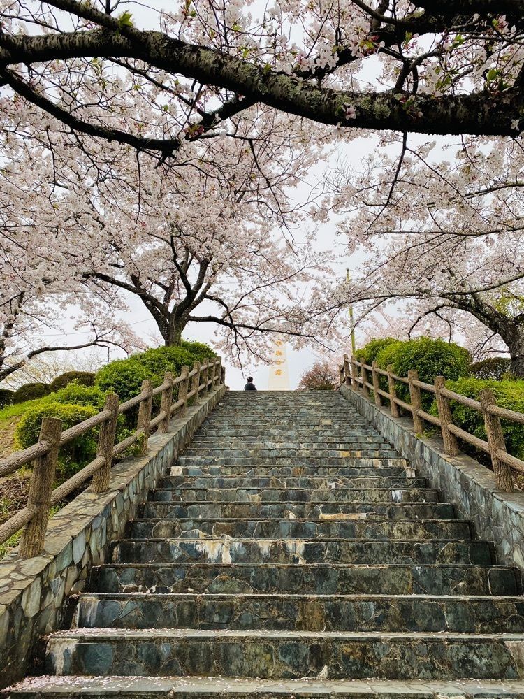 けんけんさんが投稿した大法師公園に関する口コミの画像
