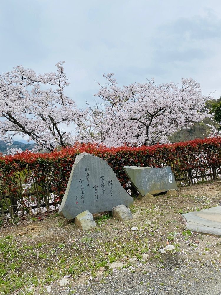 けんけんさんが投稿した大法師公園に関する口コミの画像