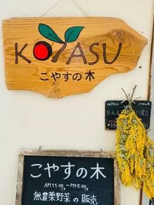 こやすの木