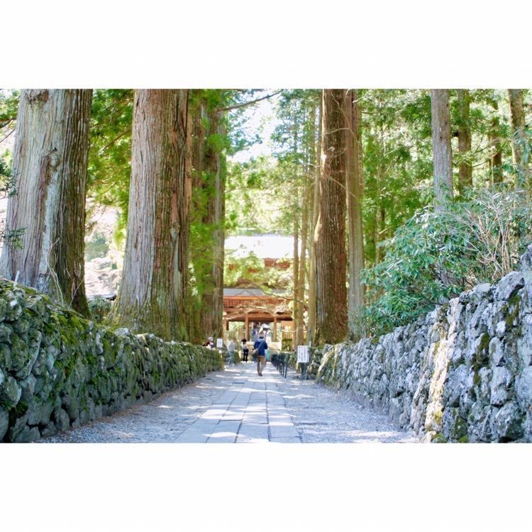 neco-meさんが投稿した光前寺のスギ並木に関する口コミの画像