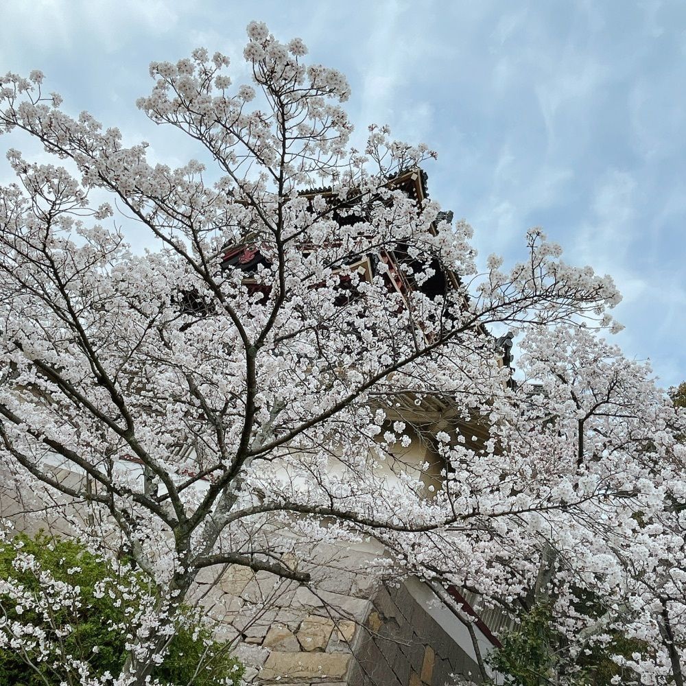 Danjouさんが投稿した伏見城に関する口コミの画像