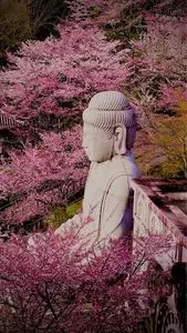 壷阪寺三重塔