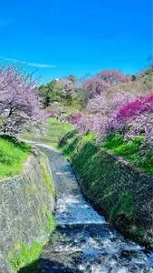 又兵衛