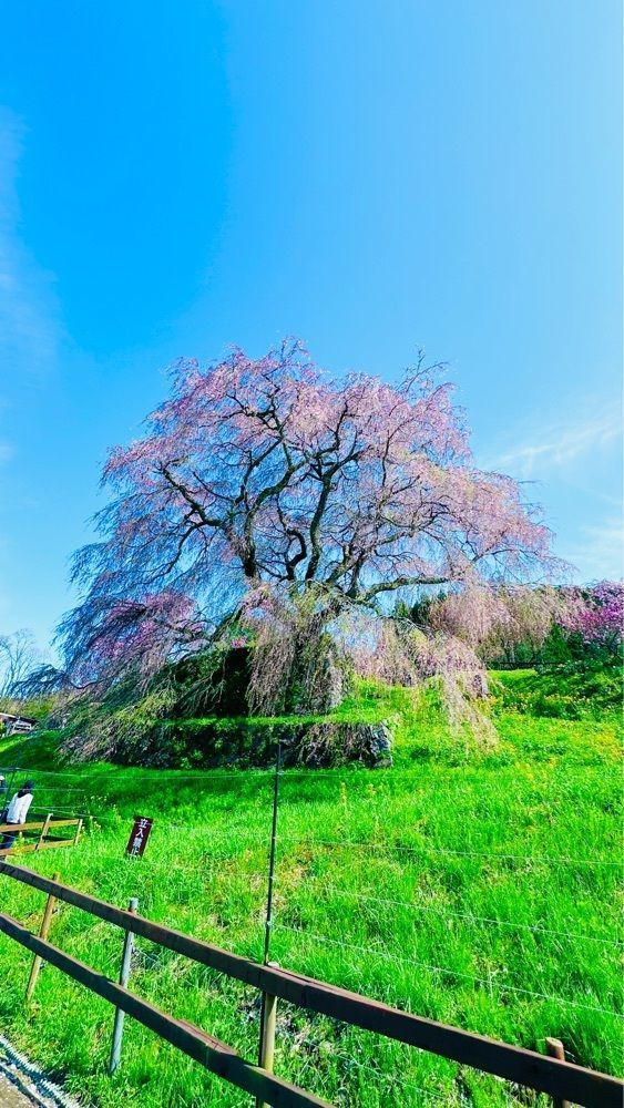 ぺたこ♡さんが投稿した又兵衛に関する口コミの画像