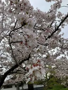 大村公園