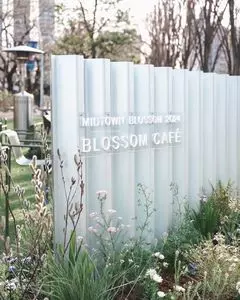 東京ミッドタウン 芝生広場