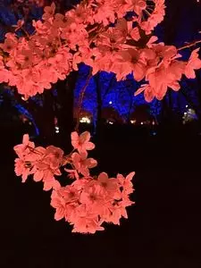 深北緑地