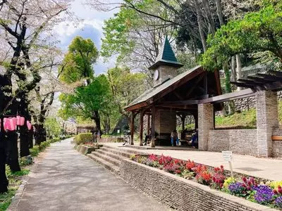 江戸川公園のさくら