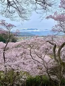 高遠城址公園高遠閣