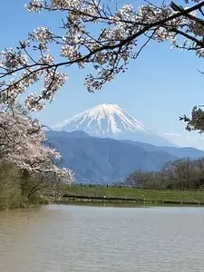 梅の里（山梨県甲斐市）