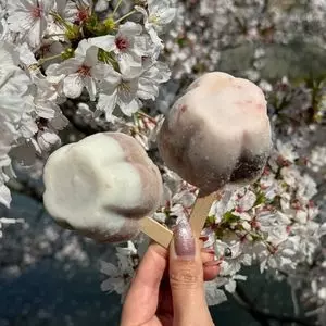 寿恵広