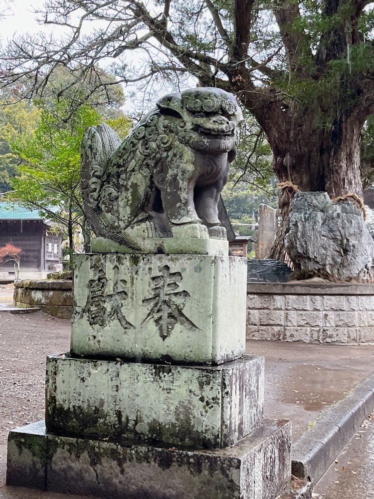 Yukiさんが投稿した鶴谷八幡宮に関する口コミの画像