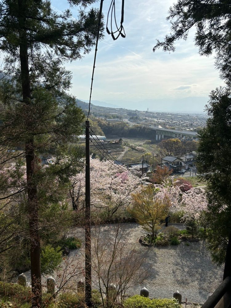 それなはとけさんが投稿した大善寺に関する口コミの画像
