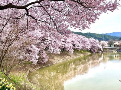 施設画像